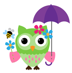 Owl Image