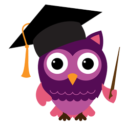 Owl Image